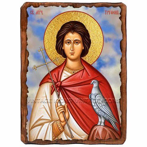 Трифон Апамейский, мученик, икона на дереве 130х170 мм (Н-4204-1) Н-4204 фото